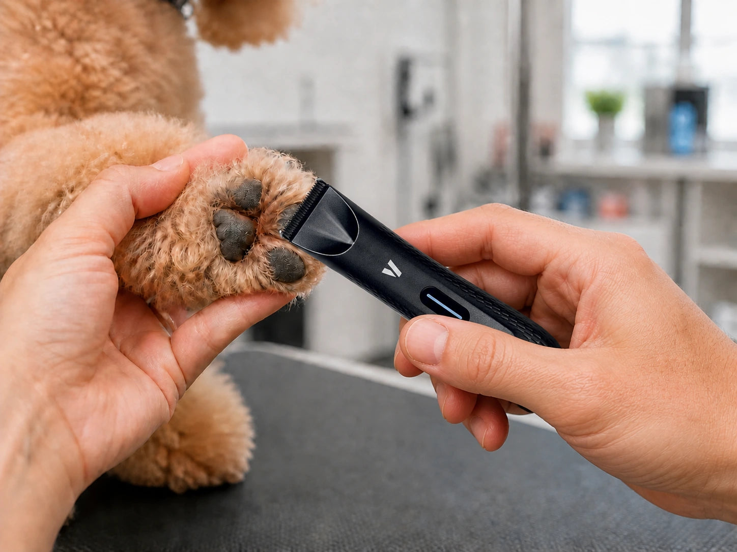 PawTrim PRO being used carefully around a dog's paw